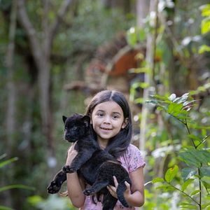 Fotoğraf Le Dernier Jaguar