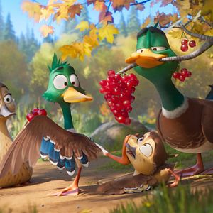 Fotoğraf Ördeklerin Göçü