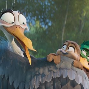 Fotoğraf Ördeklerin Göçü