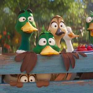 Fotoğraf Ördeklerin Göçü