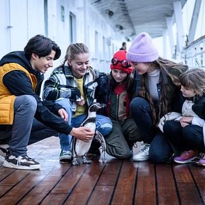 Fotoğraf Kaos Kardeşler ve Penguen Paul