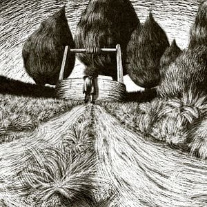 Fotoğraf A Greyhound Of A Girl