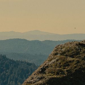 Fotoğraf Sasquatch Sunset