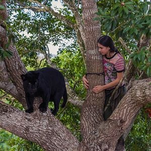 Fotoğraf Le Dernier Jaguar