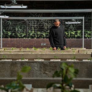 Fotoğraf The Kitchen
