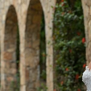 Fotoğraf Ludwika Paleta