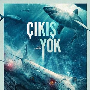 Fotoğraf Çıkış Yok