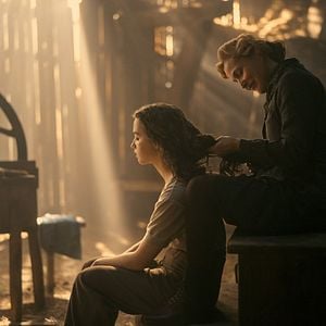 Fotoğraf White Bird