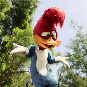 Fotoğraf Woody Woodpecker Goes to Camp