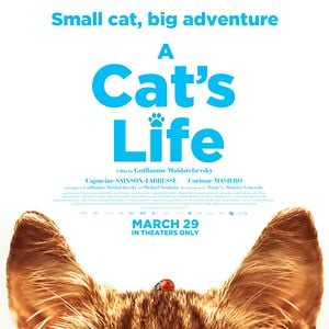 Fotoğraf Mon chat et moi, la grande aventure de Rroû