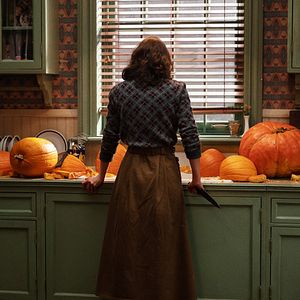 Fotoğraf Örümcek Ağı