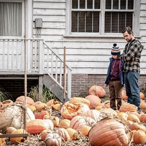 Fotoğraf Örümcek Ağı