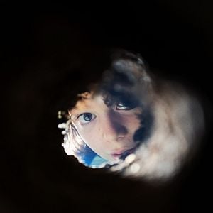 Fotoğraf Örümcek Ağı