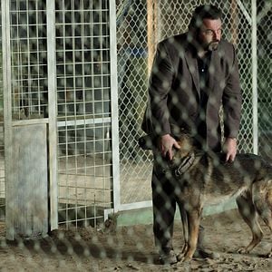 Fotoğraf Chien blanc