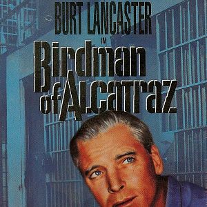 Fotoğraf Alkatraz Kuşçusu