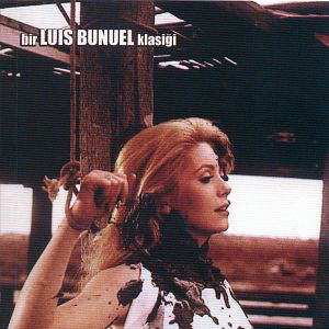 Fotoğraf Gündüz Güzeli