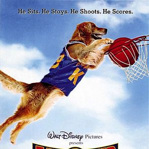 Fotoğraf Sayı Kralı Buddy