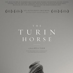 Fotoğraf A Torinói Ló