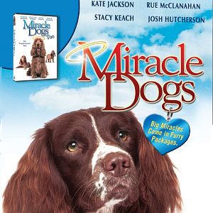 Fotoğraf Miracle Dogs