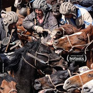 Fotoğraf Buzkashi!