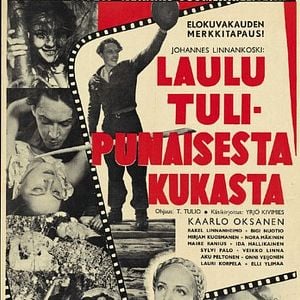 Fotoğraf Laulu tulipunaisesta kukasta