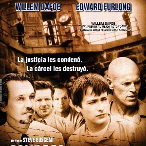 Fotoğraf Animal Factory