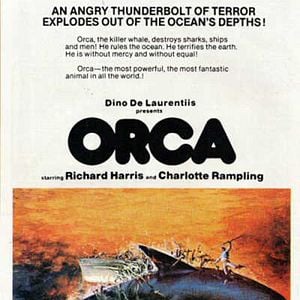 Fotoğraf Orca / Katil Balina