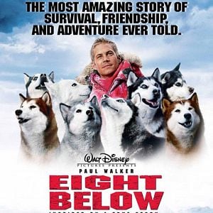 Fotoğraf Kutup Macerası