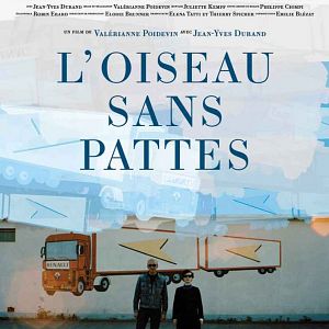 Fotoğraf L'Oiseau sans pattes