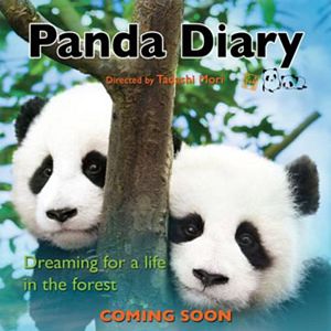 Fotoğraf Pandafuru raifu