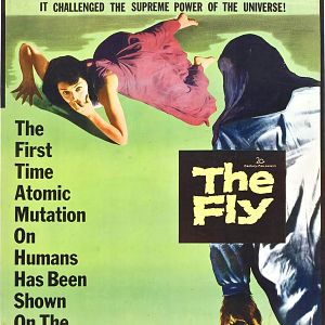 Fotoğraf The Fly