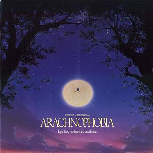 Fotoğraf Örümcek Korkusu