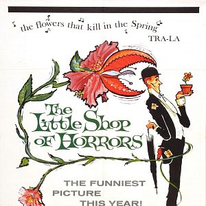 Fotoğraf Küçük Korku Dükkanı