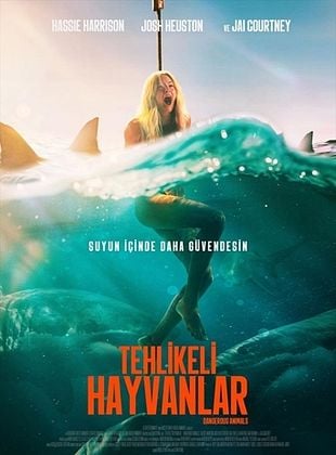 Penguenleri hiç bu kadar komik ve yakından görmemiştiniz
