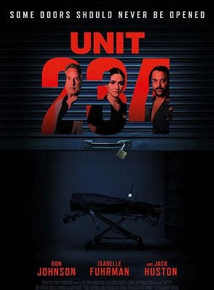  Unit 234