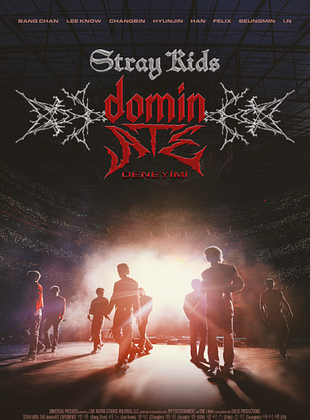 Stray Kids: The dominATE Deneyimi