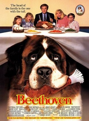 Afacan Köpek Beethoven