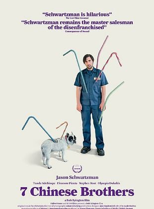  7 Çinli Kardeş posteri