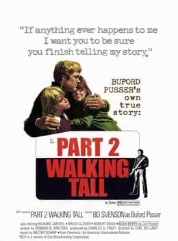 Kanunsuz Yol posteri