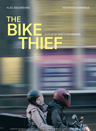 The Bike Thief