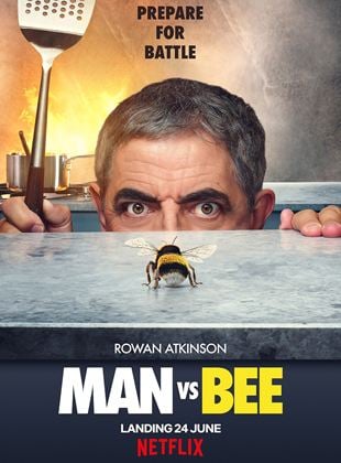 Man vs Bee
