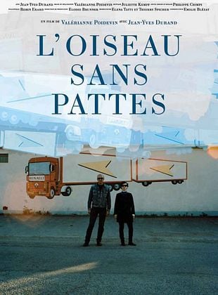 L'Oiseau sans pattes