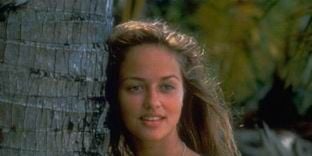 The Reef in Danger posteri