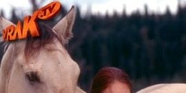 Mother of the Year posteri