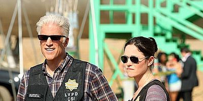 Wild Flowers posteri