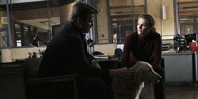 An Embarrassment of Bitches posteri