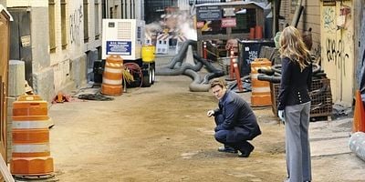 The Fast and the Furriest posteri