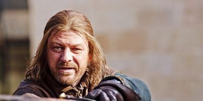 The Wolf and the Lion posteri