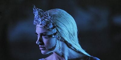 What Happened to Frederick posteri