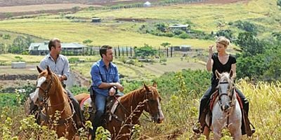 Ua Lawe Wale posteri